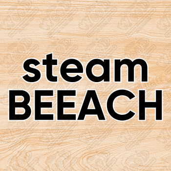 (STEAM BEEACH)